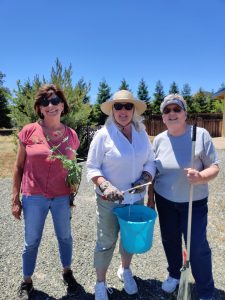 three volunteers smiling in the sun and in sunglasses and active wear holding gardening tools and weeds. 