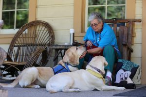 pet therapy dogs, two golden retrievers laying on porch providing emotional support to a woman in a wooden porch chair